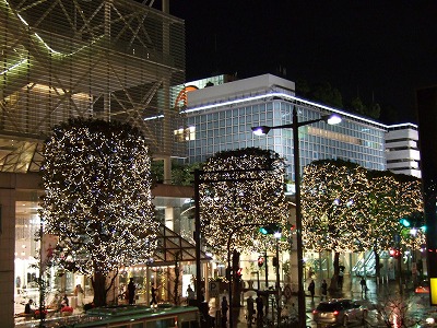 二子玉川もクリスマスイルミネーション開始 たまプラーザ あざみ野 ぶらり日記